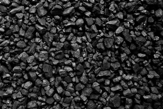 Coal