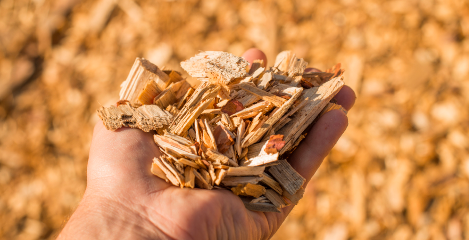 Wood Chips